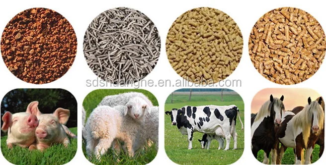 animal-feed-pellet