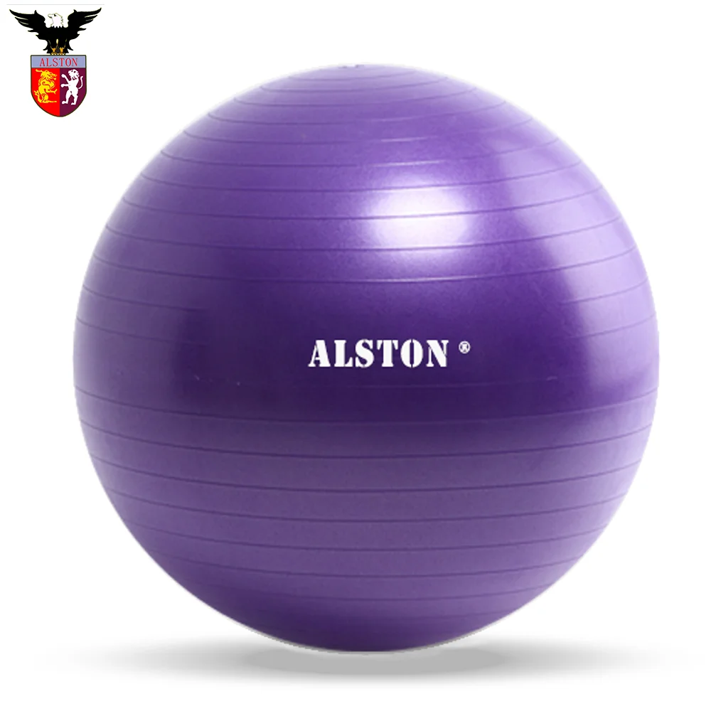 Adult Yoga Ball For Gym Custom Logo Exercise Equipment Buy Adult Yoga