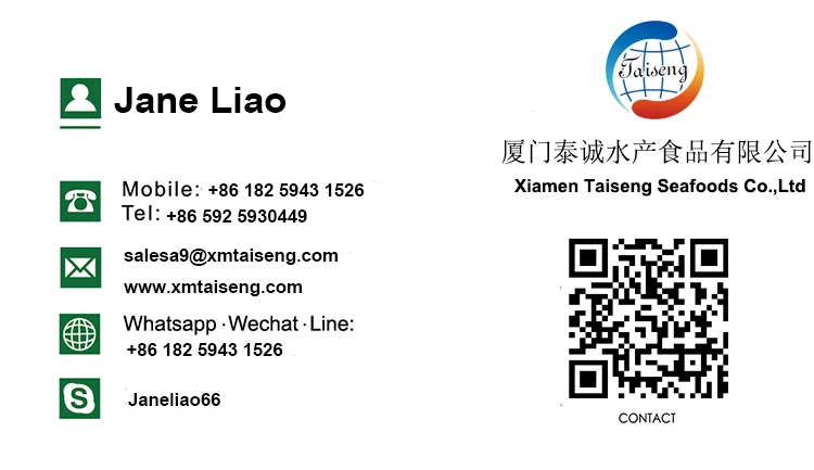 Marine Frozen fresh pacific mackerel whole round frozen mackerel