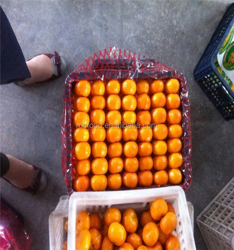 黄色いオレンジ色の果物 赤い果物の名前 Buy 赤ちゃんみかんオレンジ みかんの 蜂蜜オレンジ Product On Alibaba Com