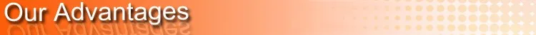 Our Advantages.jpg