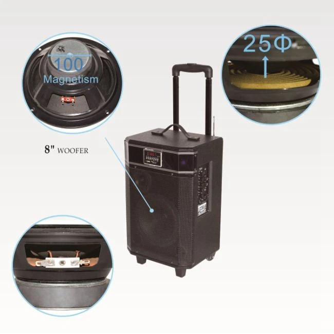 Top Quality Cheap Price Portable Outdoor Dj Best 60w Speaker For Picnic