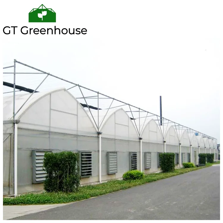 film greenhouse.png