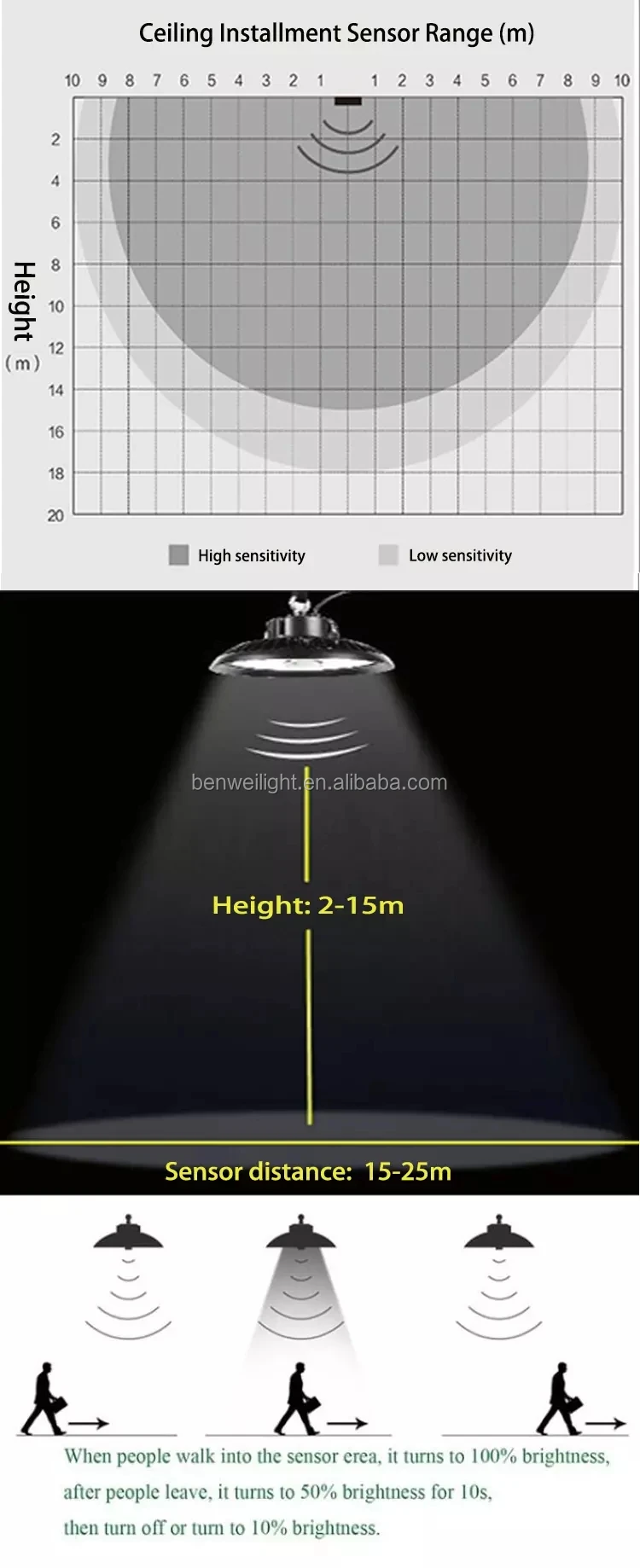 46.webp.jpg