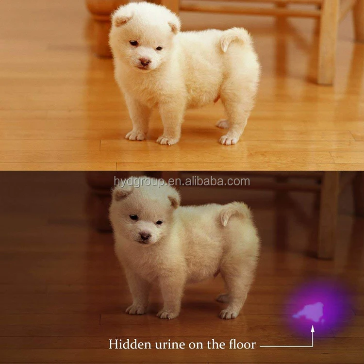 ハンドヘルド 51 100 Led ブラックライト Uv 懐中電灯サソリ狩猟ライト Uv トーチライトペットの尿検出器犬 猫の尿 Buy ブラックライト Uv 懐中電灯 Product On Alibaba Com