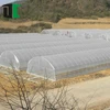 New design greenhouse use tower garden high quality with great price