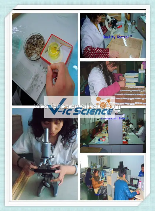 prepared slides(production line)_.jpg