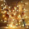 Hanging Indoor Outdoor Globe Decorative Round Beard LED String Lights