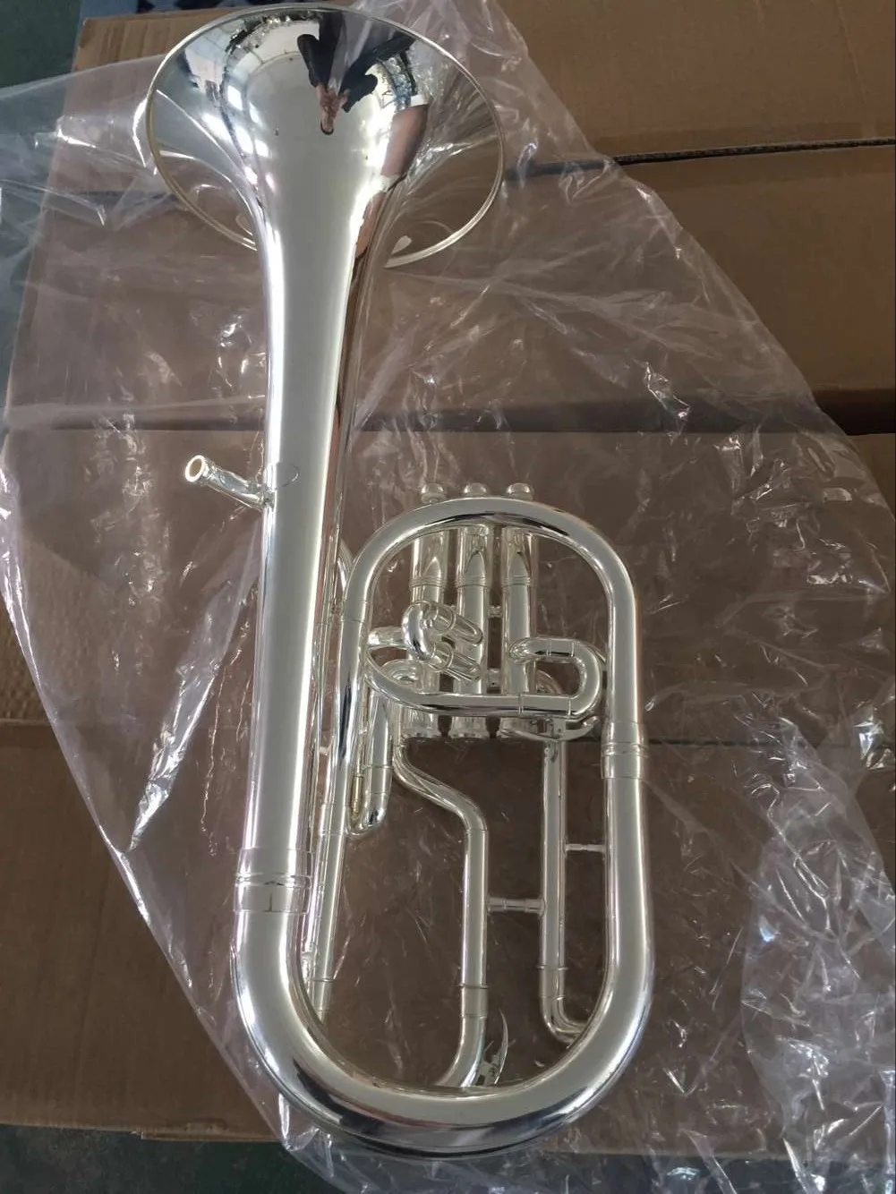 Alto Horn 1.jpg