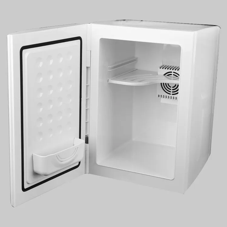 Bs 1009 9l Cosmetic Mini Fridge Medical Portable Fridge Freezer For Travel Buy Cosmetic Mini