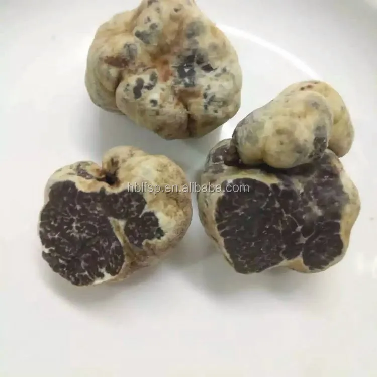 Makanan Sehat Liar Segar Truffle Putih Dan Hitam Seluruh Buy Seluruh Makanan Truffle Product On Alibaba Com