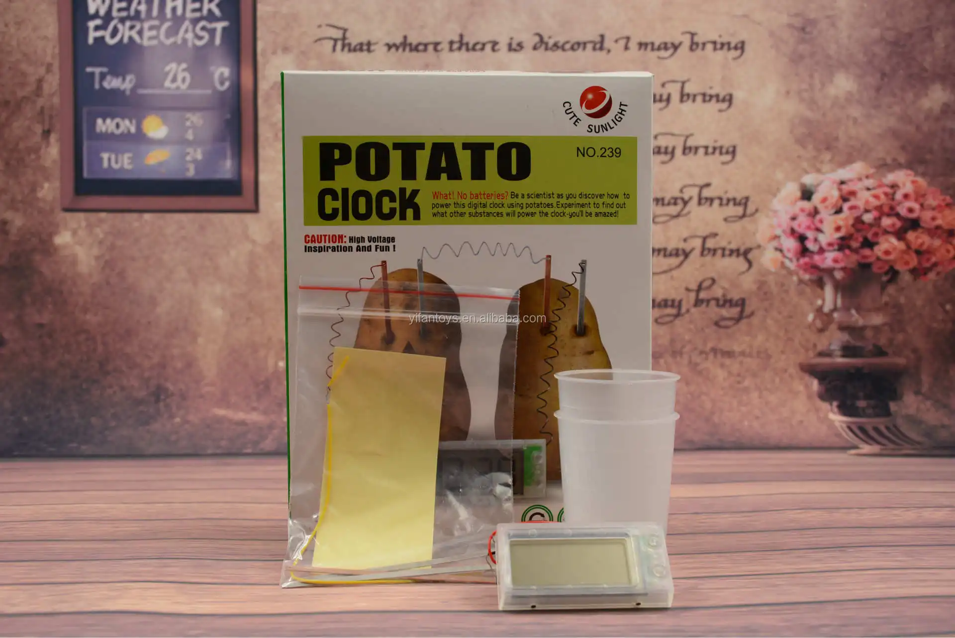 Kartoffel-Taktgeber Novel Green Science Projekt Experiment Kit Lab Home Schoo cb 