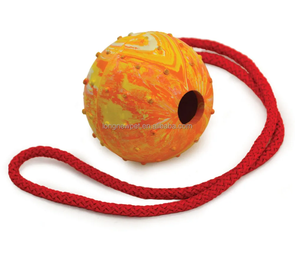 ball on a string dog toy