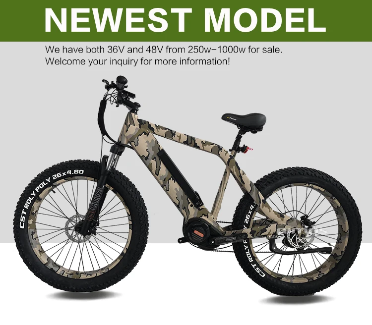 affordable fat tire electric bike