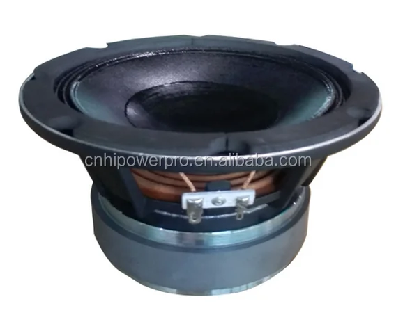 6 inch 100 watt subwoofer