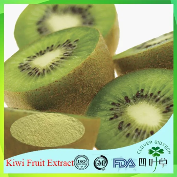 Factory Direct Kiwi Fruit Extract Powder With High Quality Buy Kiwi