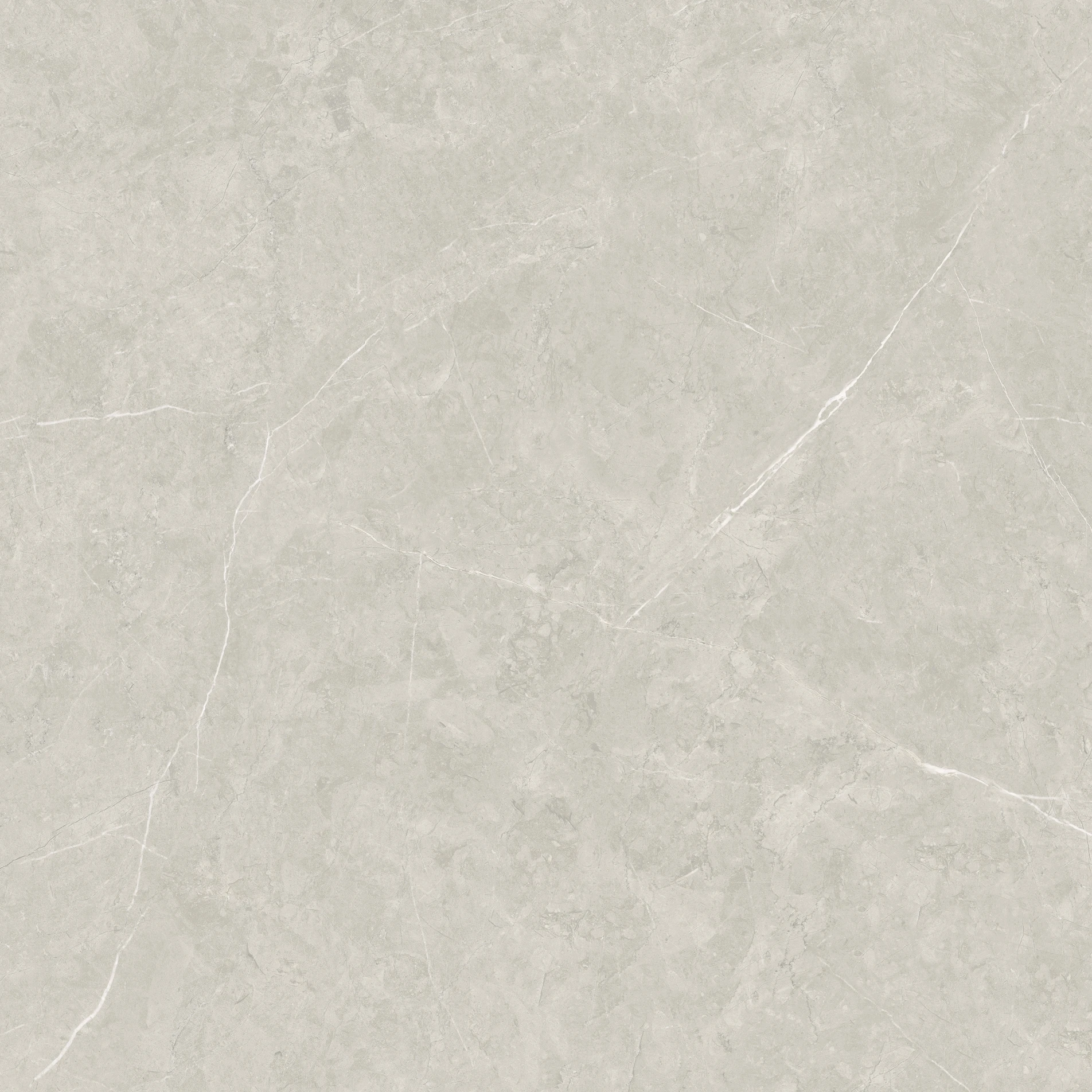 6F008_.jpg