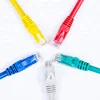 Brand Network ethernet rj45 cat 5 cat6 utp ftp stp sftp patch cable 24awg 1m 3m wire cat 5 cat 6 patch cord cable