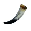 High Quality Cow Drinking Horn