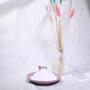 high whiteness anatase titanium dioxide B101 for ceramic industry with samples