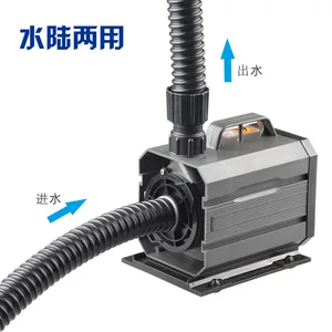 clean aquarium pump clean