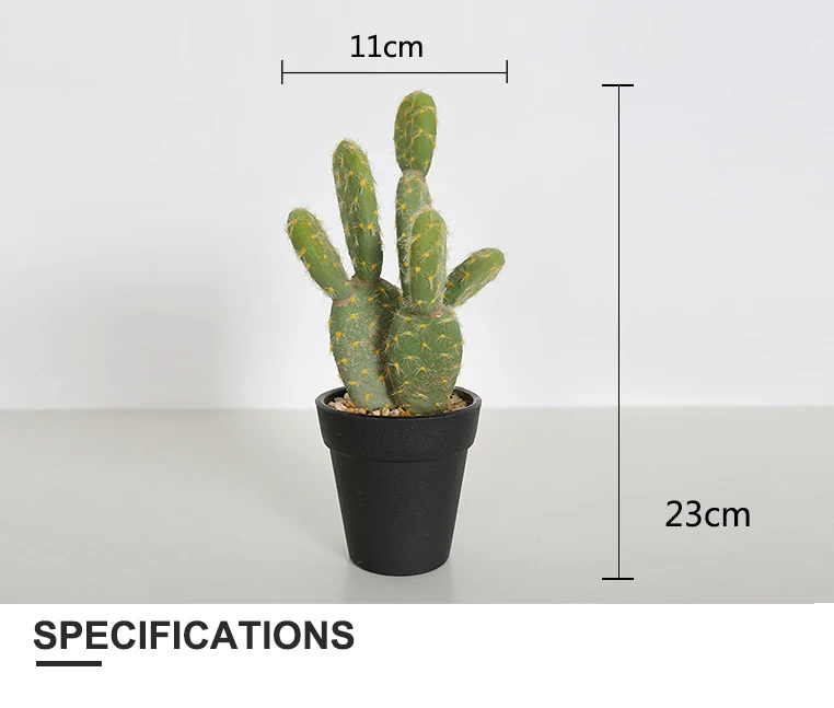 Cactaceae Autocad Dxf Kaktus Mobilya Cactaceae Kaktus Png Pngwing