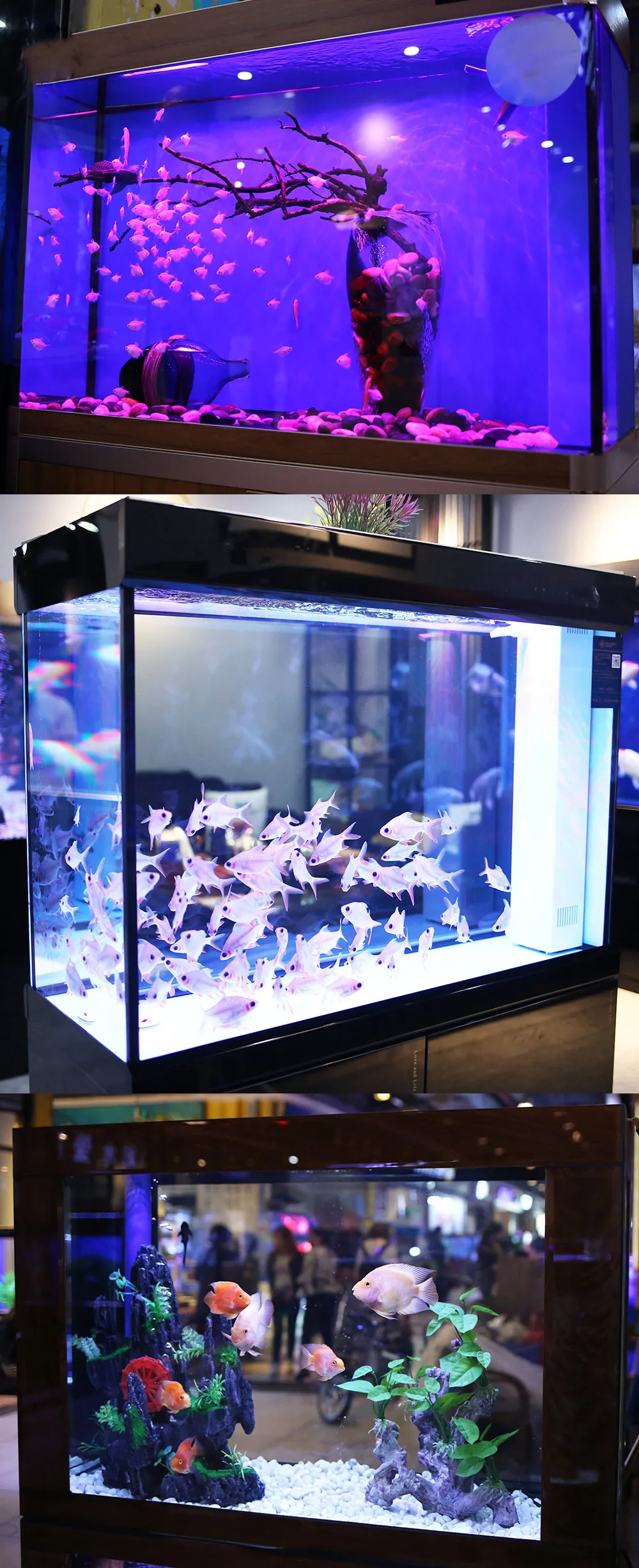 Best Price T8 Led Aquarium Tank Lighting Aquarium Light For Fish Buy Aquarium Light T8 Aquarium Light Aquarium Light For Fish Product On Alibaba Com