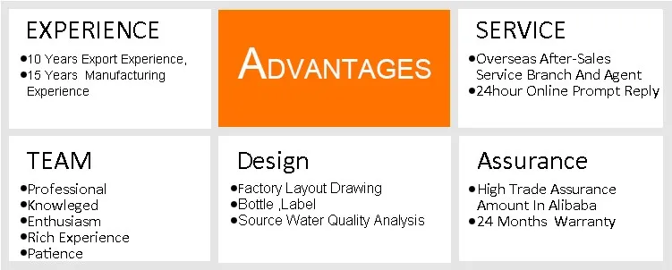 advantages of company5