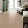 New Design Wall To Wall Wool Carpet For Hotel