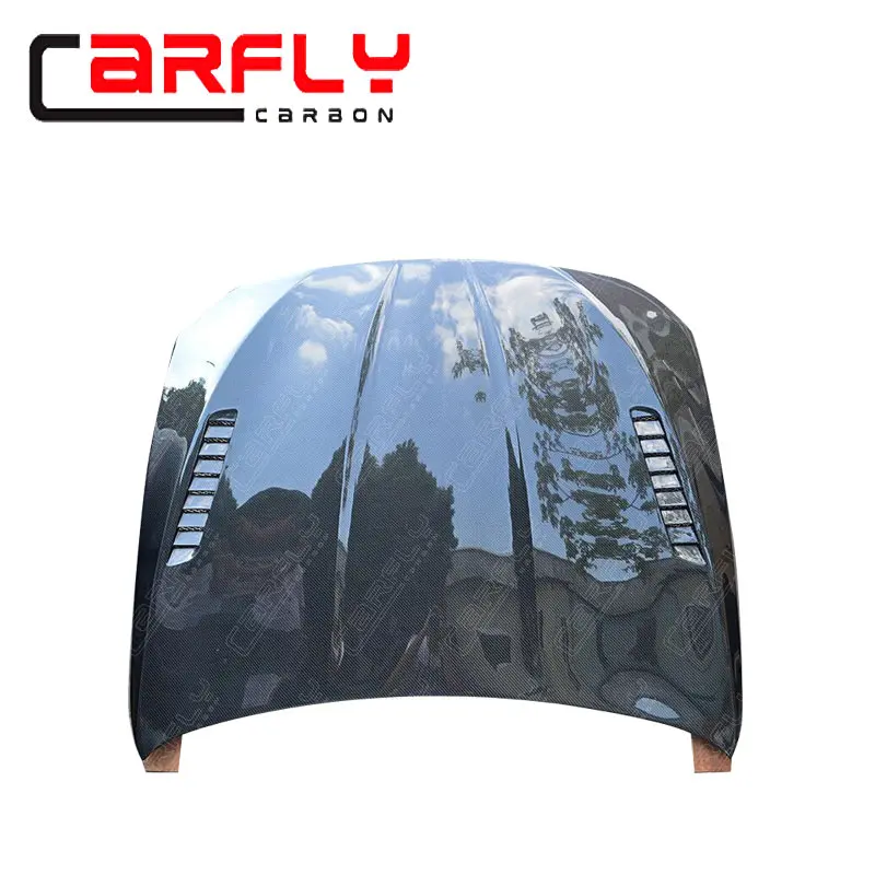 BMW F10 hood .jpg