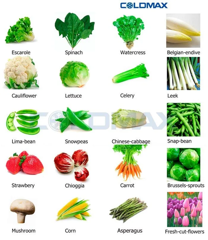 Vacuum Cooling System Being Used For Extending Shelf Life Of Vegetables ...