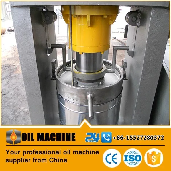 Best Selling Export To Europe Avocado Oil Press Machine Avocado Sorting
