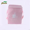 Hot sale biodegradable eco-friendly beer pp woven ice bag