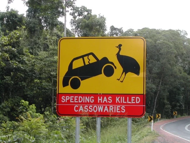 traffic-signs.jpg