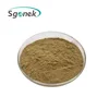 Top Quality Salvia Miltiorrhiza / Danshen root extract / Protocatechualdehyde Powder