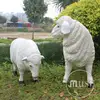 /product-detail/park-decorative-resin-life-size-white-color-sheep-statue-60638311852.html