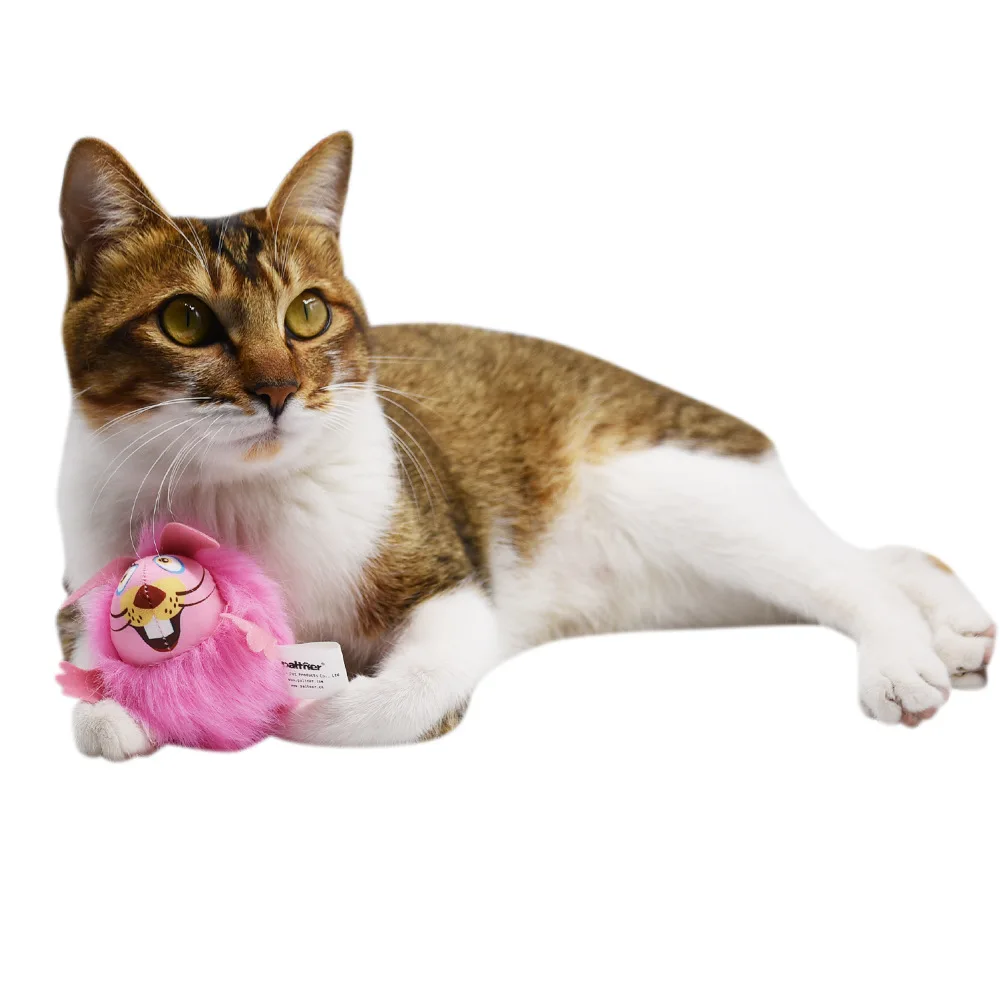 catnip mouse toy