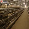High quality heat proof poultry farm business plan in marathi language chicken house for sale for Guinea