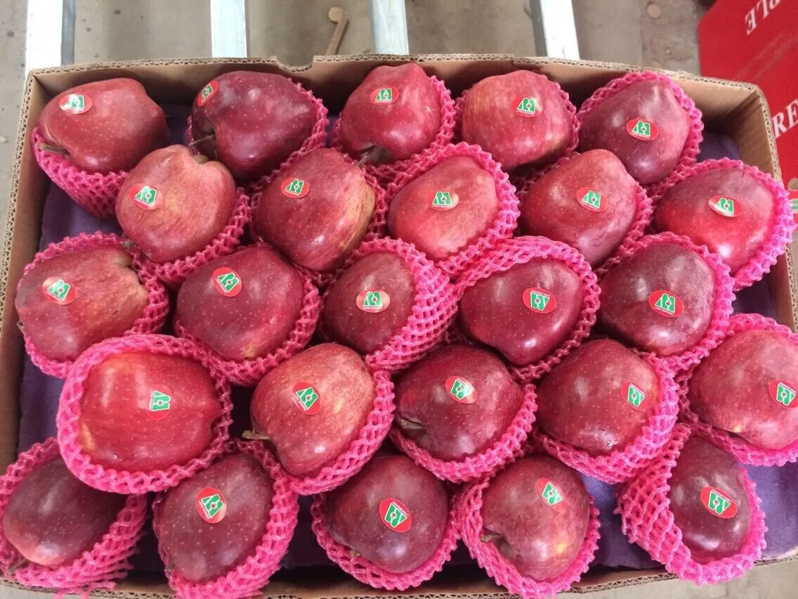huaniu apple (4).jpg