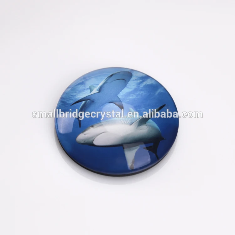 Souvenir Fridge Magnet