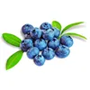 high quality frozen fresh blueberries