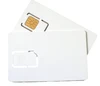 java card with 80K memory SAM AV2
