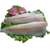 Frozen Cod Fish Fillet