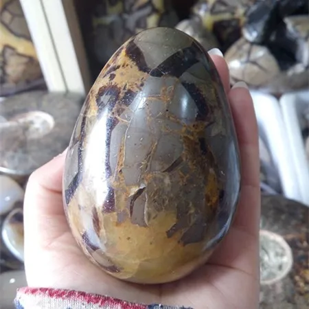 الطبيعية Septarian الجيود البيض Septarian التنين البيضاوي للبيع Buy Septarian البيضاوي البيض شكل بيضاوي الحجر للزينة البيضاوي البيض كرسي Product On Alibaba Com