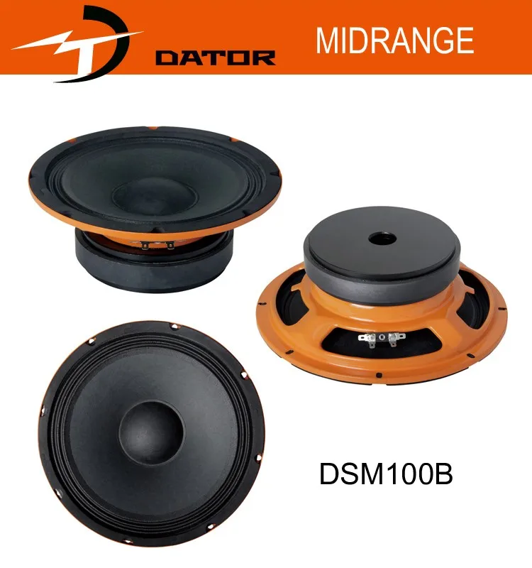 DSM100B
