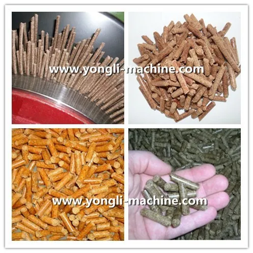 ring die vertical located pellet machines