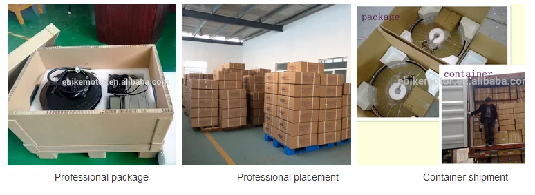 350W 500W 1000w brushless hub ebike motor