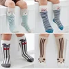 PHB11008 knee high design fashion cute baby korea sock