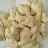 Manufacturer supply light yellow Dehydrated Ginger whole