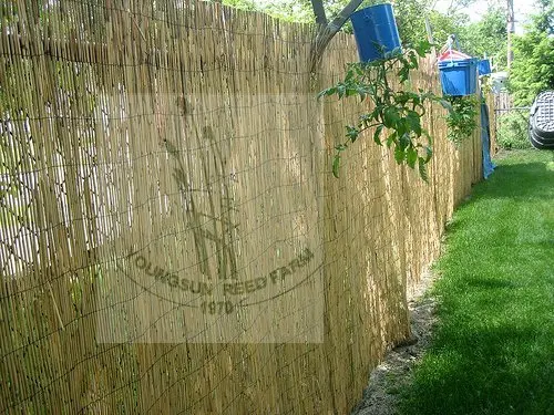 beautiful reed fence